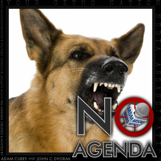 No Agenda Album Art by Zippy