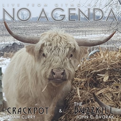 No Agenda Album Art by MNGIRL_2022